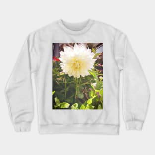 Dahlias, Montreal Crewneck Sweatshirt